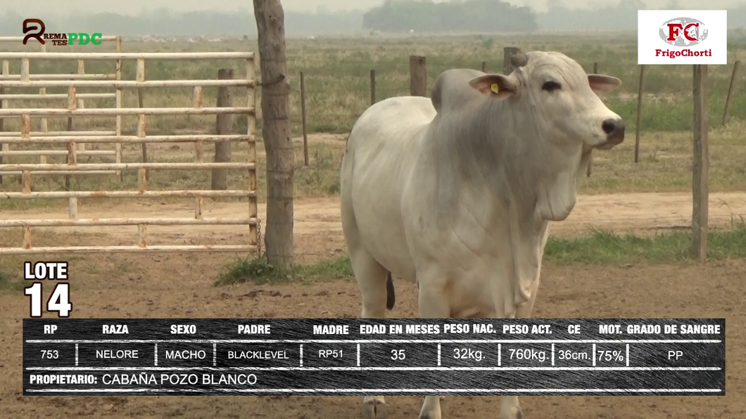 Lote CABAÑA POZO BLANCO