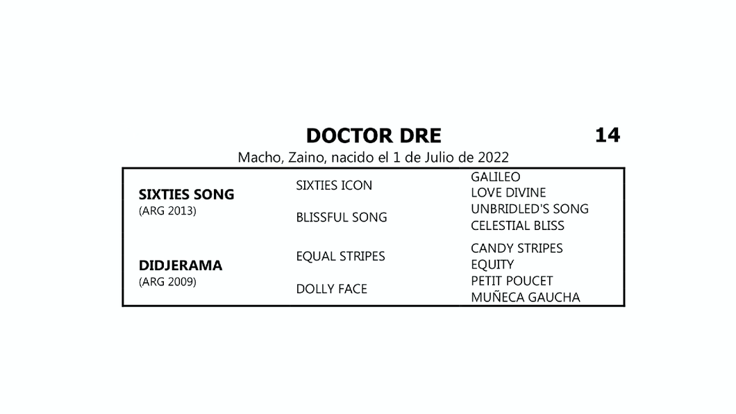 Lote DOCTOR DRE (SIXTIES SONG -  DIDJERAMA por EQUAL STRIPES)