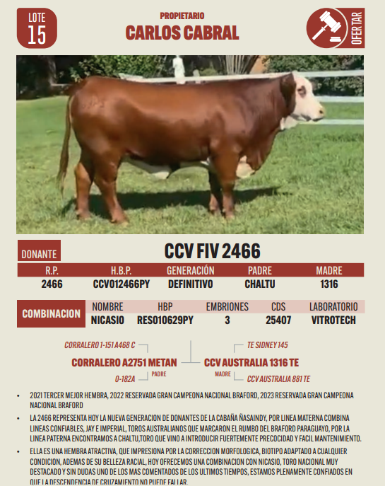 Lote LOTE 15