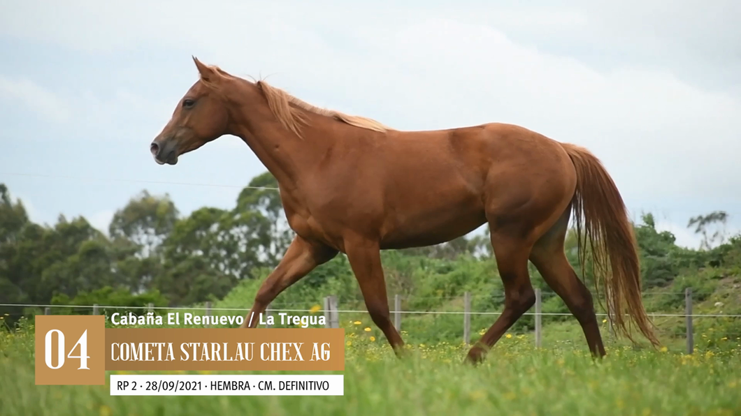 Lote Yeguarizos a remate en Entre Razas , San José