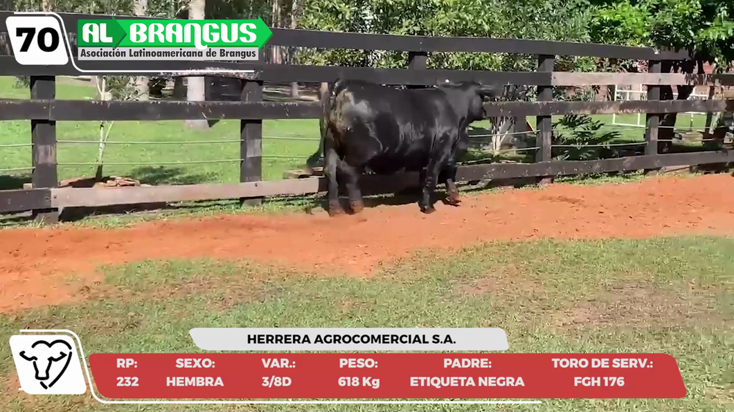 Lote LOTE 70 -CAMPO