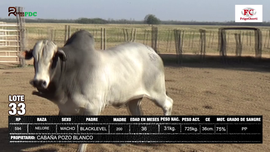 Lote CABAÑA POZO BLANCO