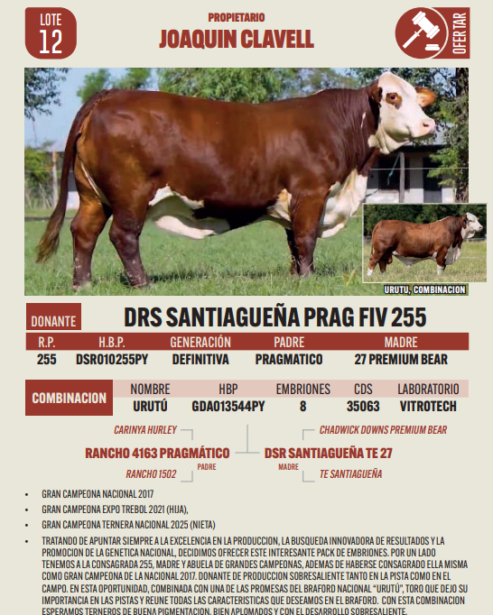 Lote LOTE 12