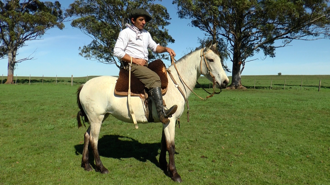 Lote ACACIA LA CARRETA