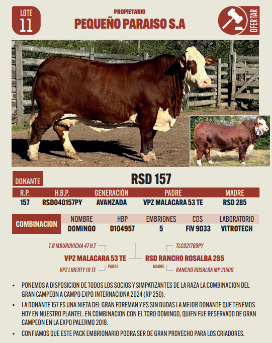 Lote LOTE 11