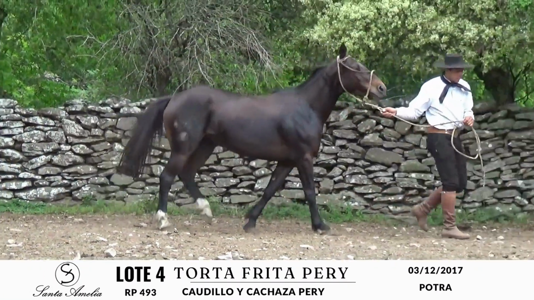 Lote TORTA FRITA PERY