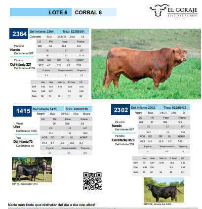 Lote Corral 6