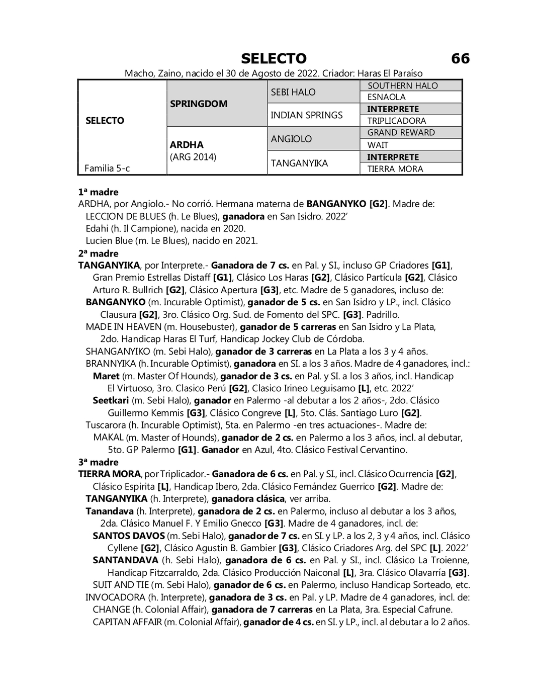 Lote SELECTO