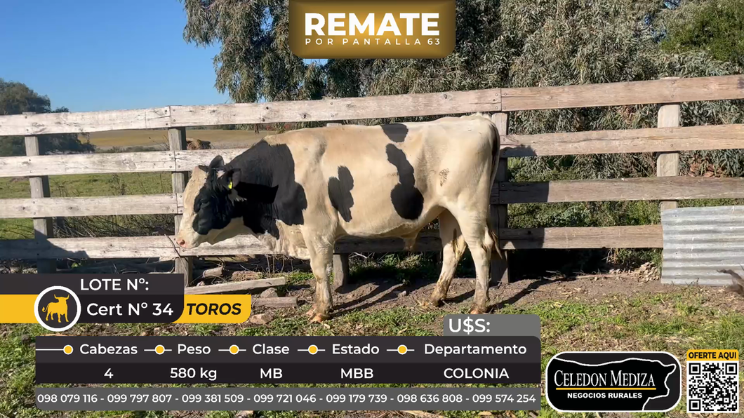 Lote 4 Toros en Paraje Artilleros, a 2 km de Ruta 1, Colonia