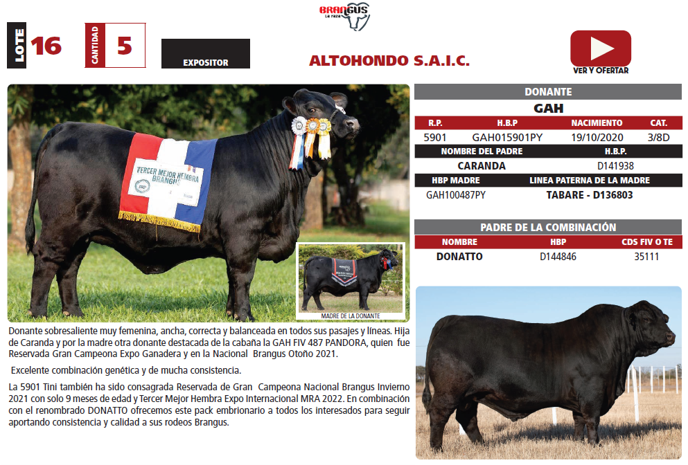Lote LOTE 16
