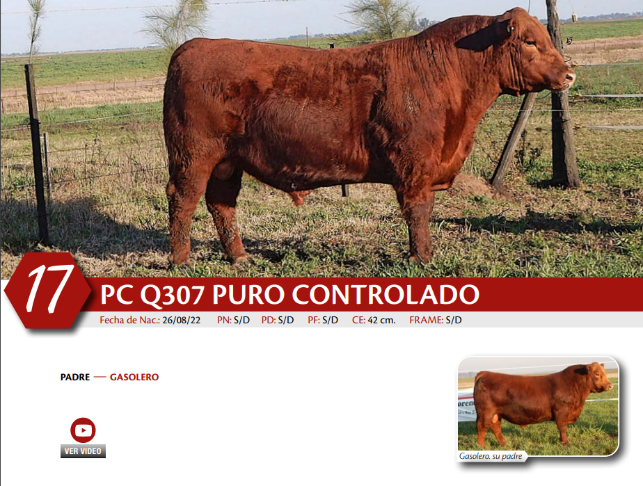 Lote MACHO PC