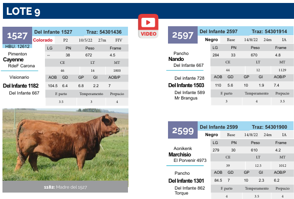 Lote Lote 9