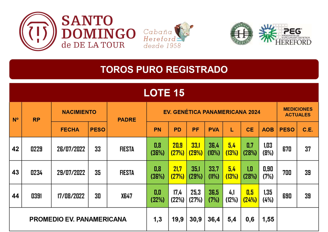 Lote TOROS PR (LOTES) - PR