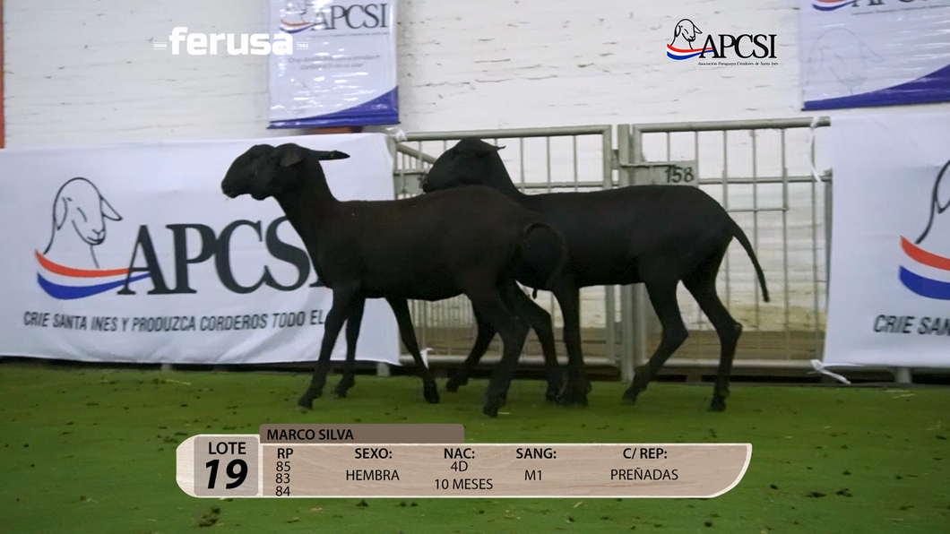 Lote Nacional Santa Inés Campo - Lote 19