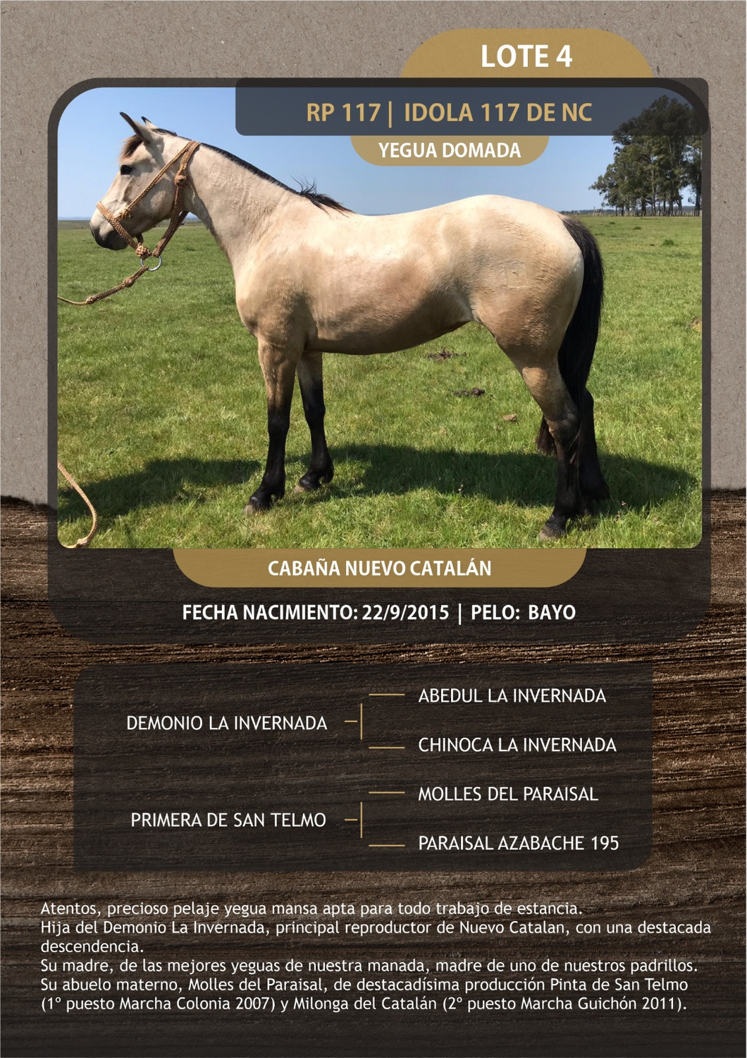 Lote IDOLA 117 DE NC