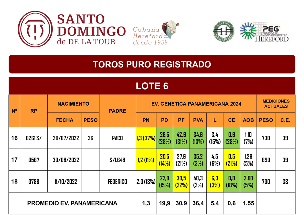 Lote TOROS PR (LOTES)