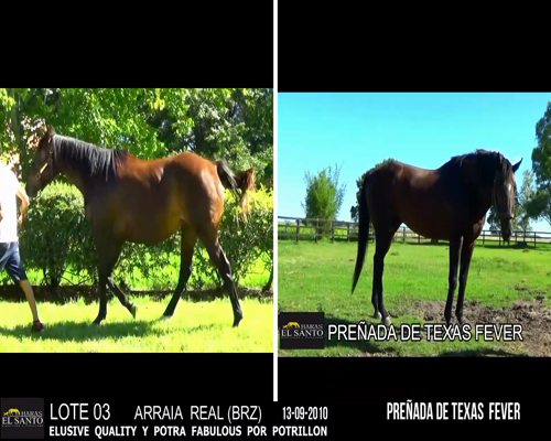 Lote ARRAIA REAL (BRZ)