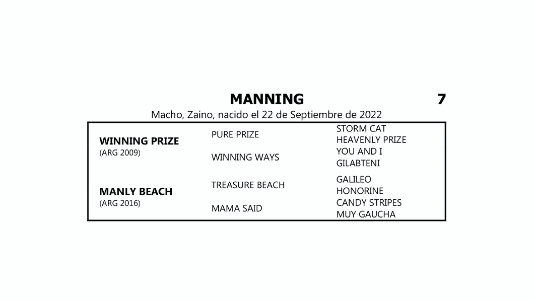 Lote MANNING (WINNING PRIZE -  MANLY BEACH por TREASURE BEACH)