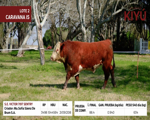 Lote S.E. VICTOR 719T SENTRY