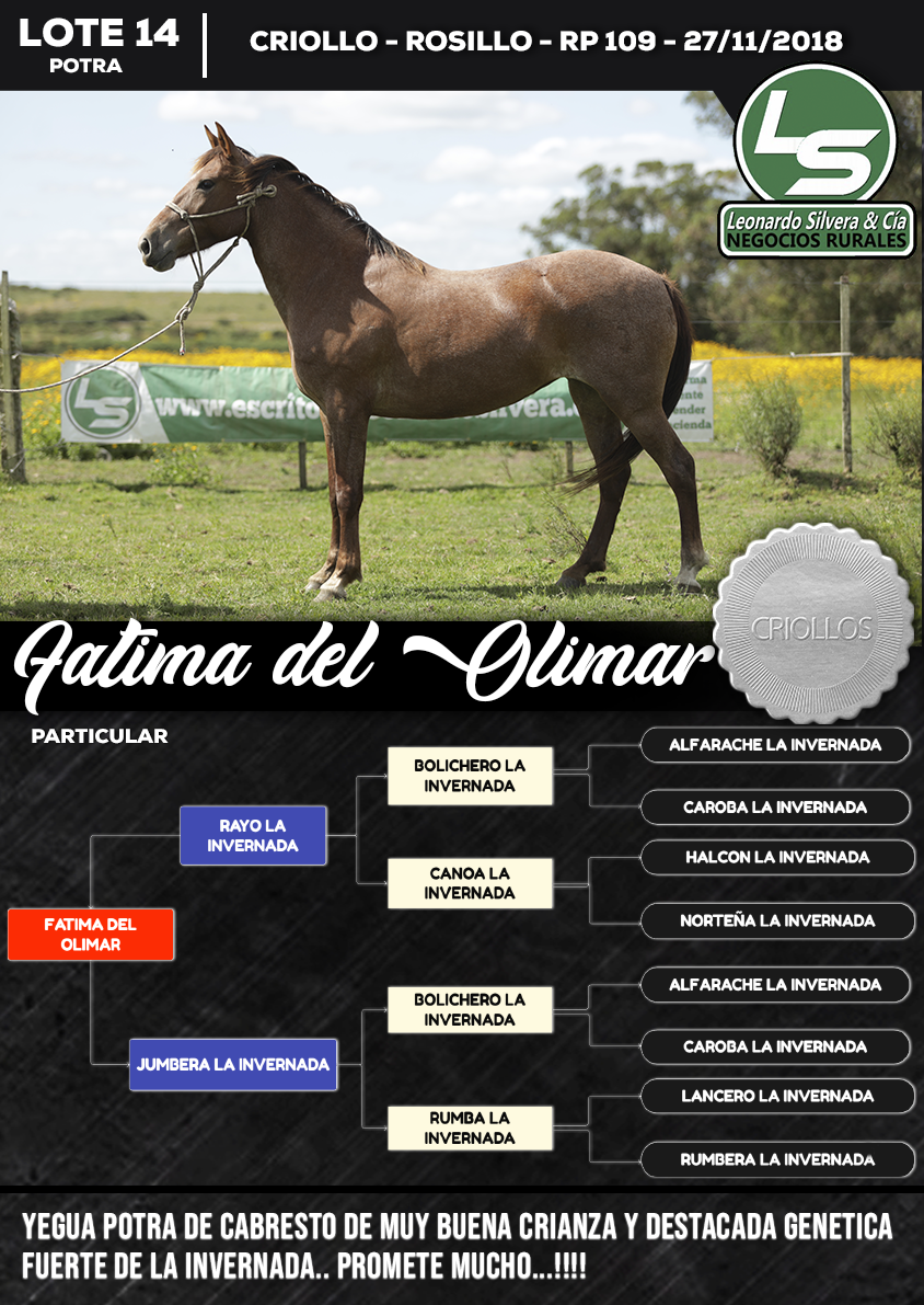 Lote FATIMA DEL OLIMAR