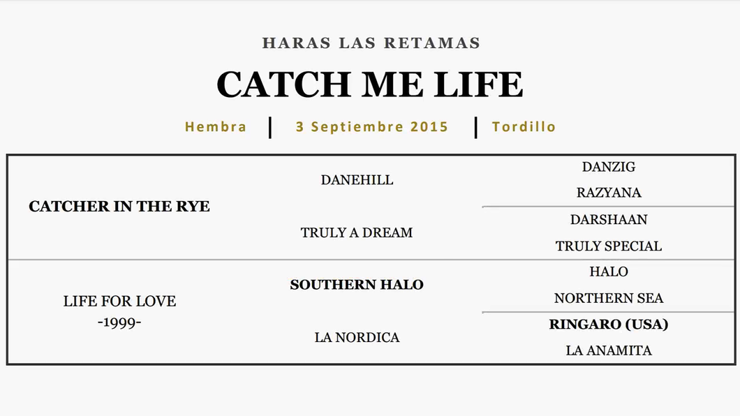Lote CATCH ME LIFE (CATCHER IN THE RYE - LIFE FOR LOVE)