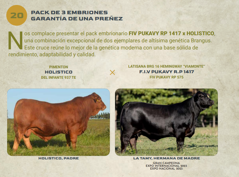 Lote LOTE 20