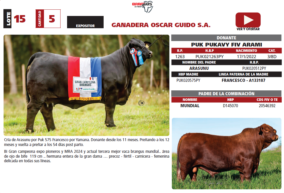 Lote LOTE 15