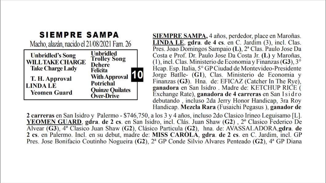 Lote SIEMPRE SAMPA