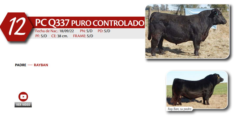 Lote MACHO PC