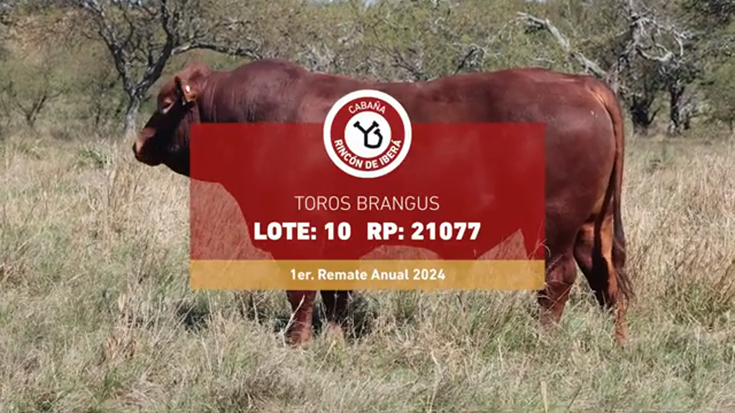 Lote RINCON IBERA 21077