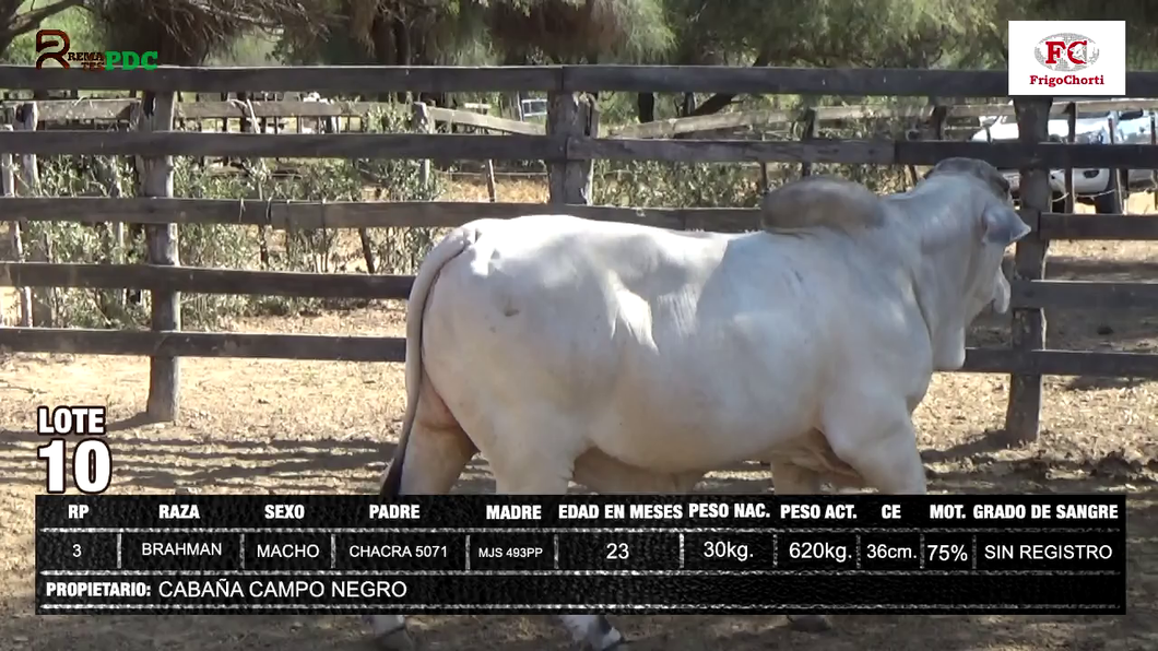 Lote CABAÑA CAMPO NEGRO