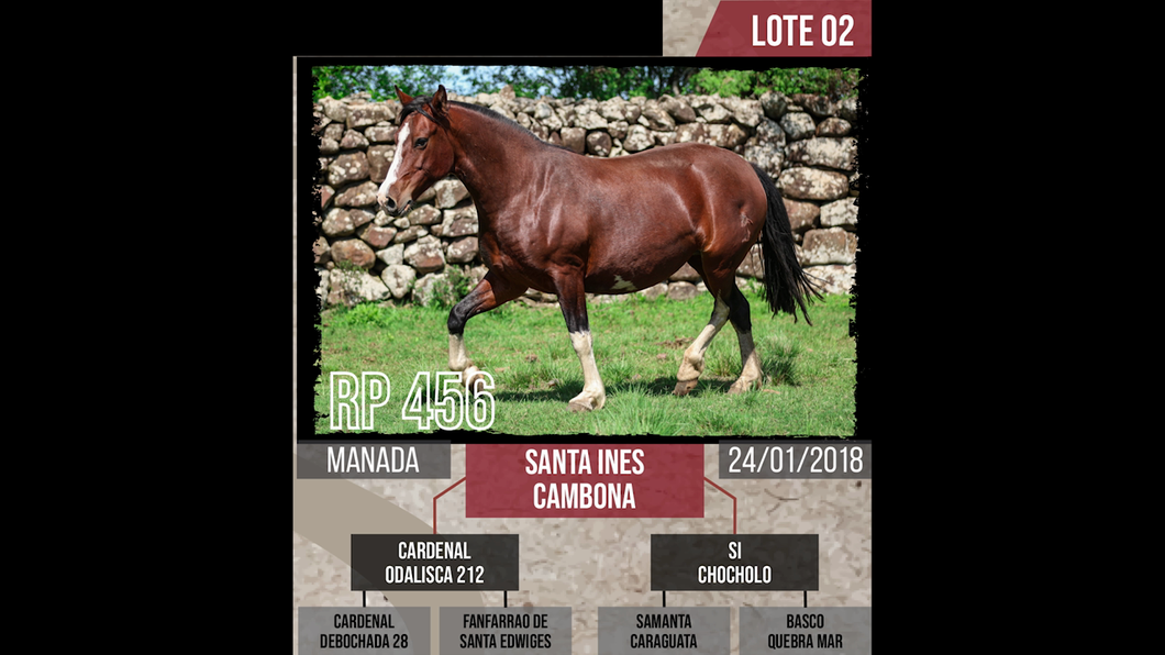 Lote SANTA INES  CAMBONA