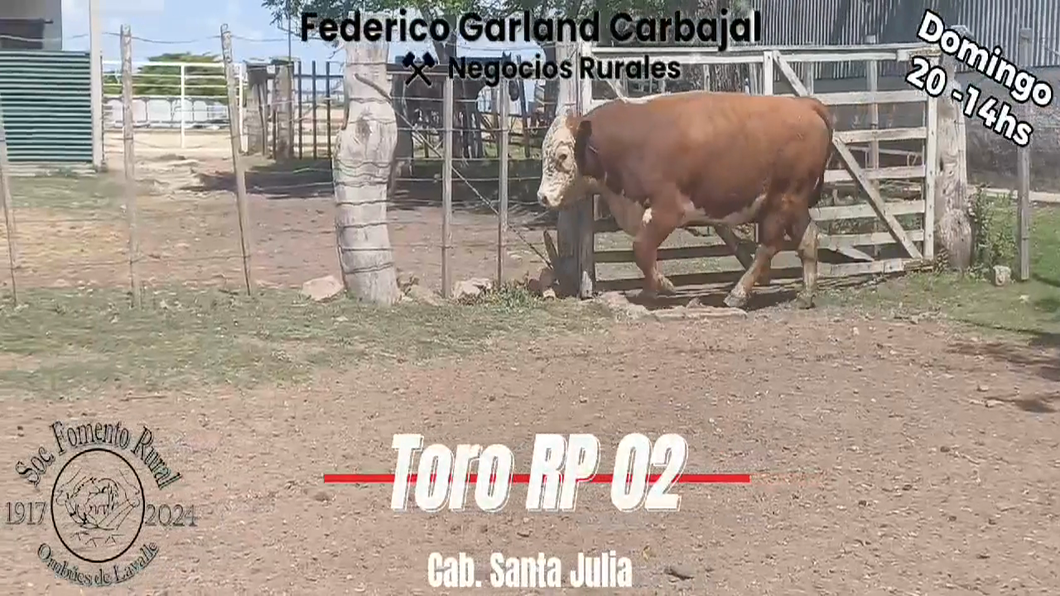 Lote TORO PI HEREFORD a remate en Expo Ombues en OMBUES DE LAVALLE