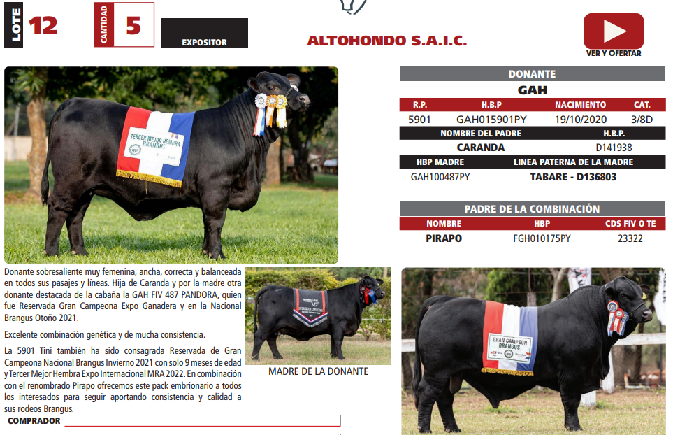 Lote LOTE 12