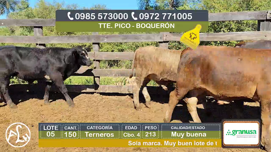 Lote (Vendido)150 Terneros Cbo 4 a remate en Agroganadera LA HUELLA, Boquerón