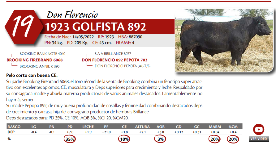 Lote MACHO PP