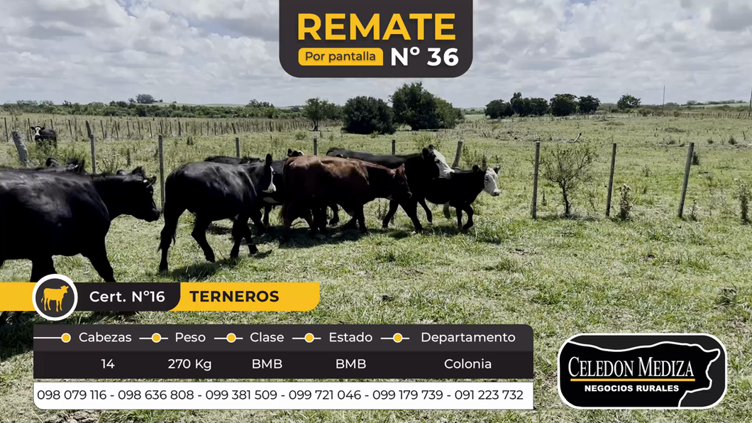 Lote 14 Terneros en Las Víboras, Colonia