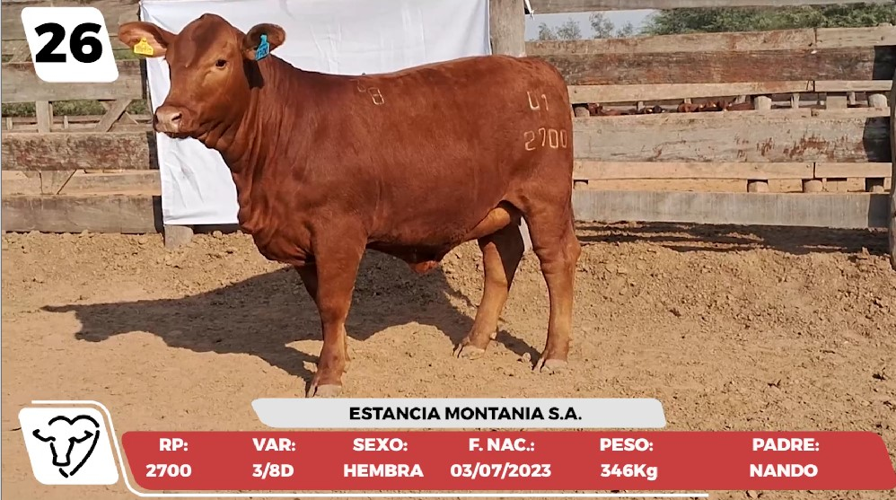 Lote LOTE 26