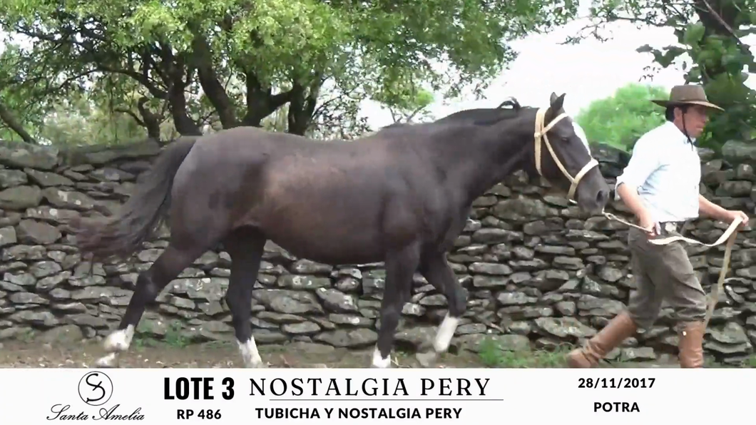 Lote NOSTALGIA PERY