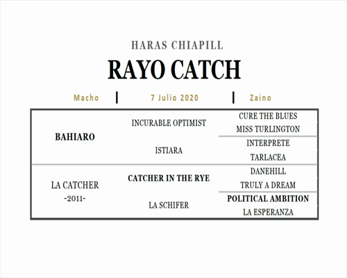 Lote RAYO CATCH (BAHIARO - LA CATCHER)