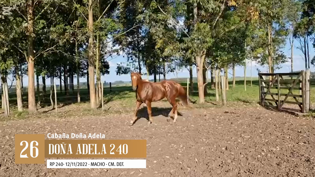 Lote Yeguarizos a remate en Entre Razas , San José