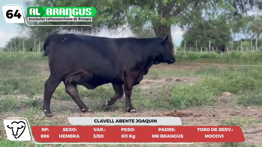 Lote LOTE 64 -CAMPO