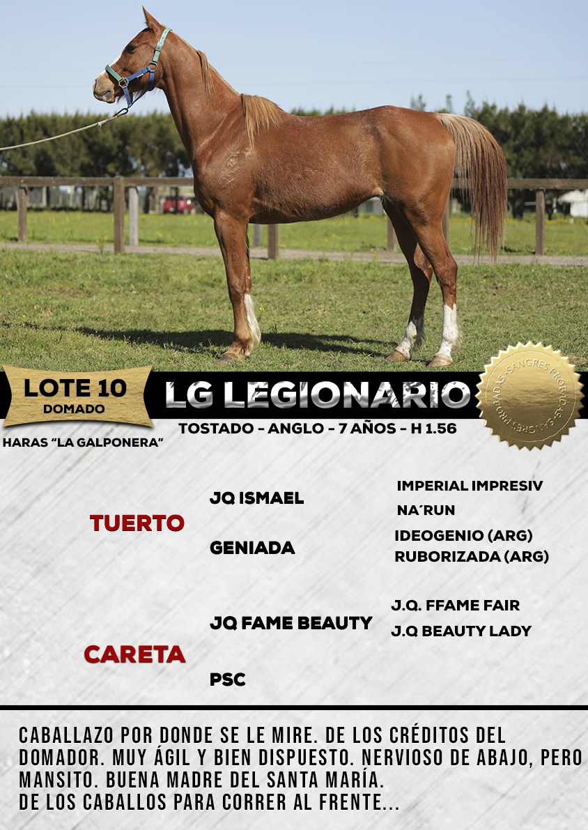 Lote LG LEGIONARIO