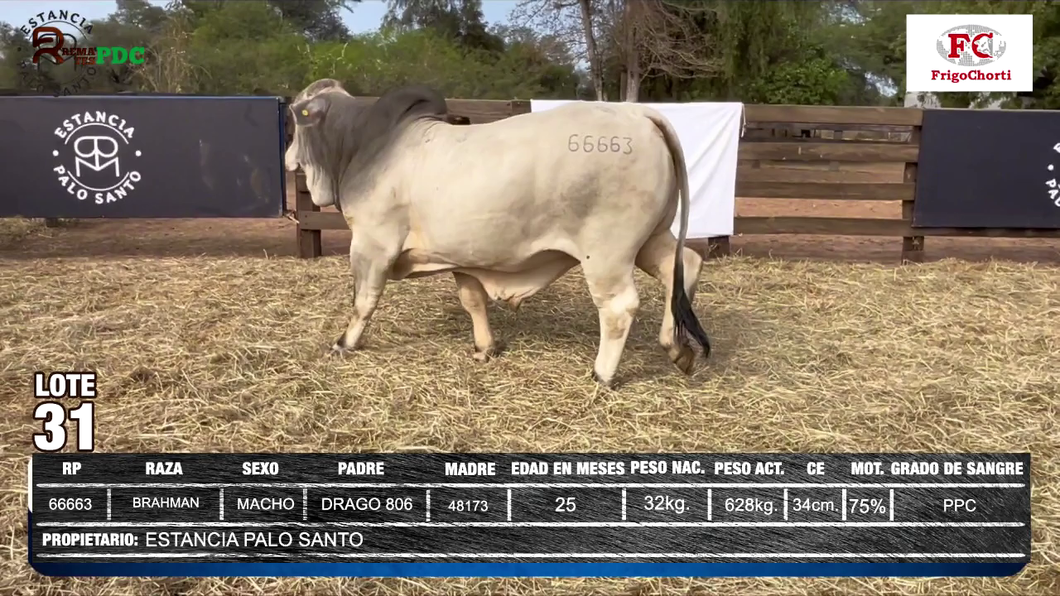 Lote ESTANCIA PALO SANTO