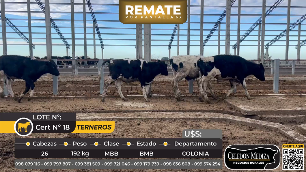 Lote 26 Terneros en Estanzuela, Colonia