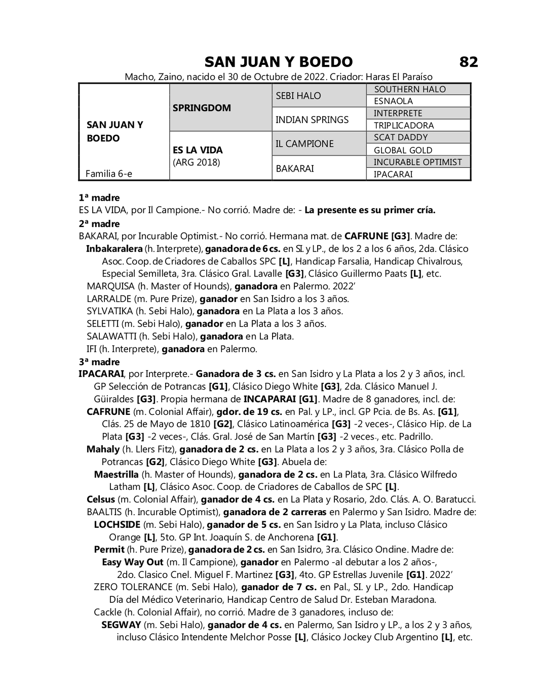 Lote SAN JUAN Y BOEDO