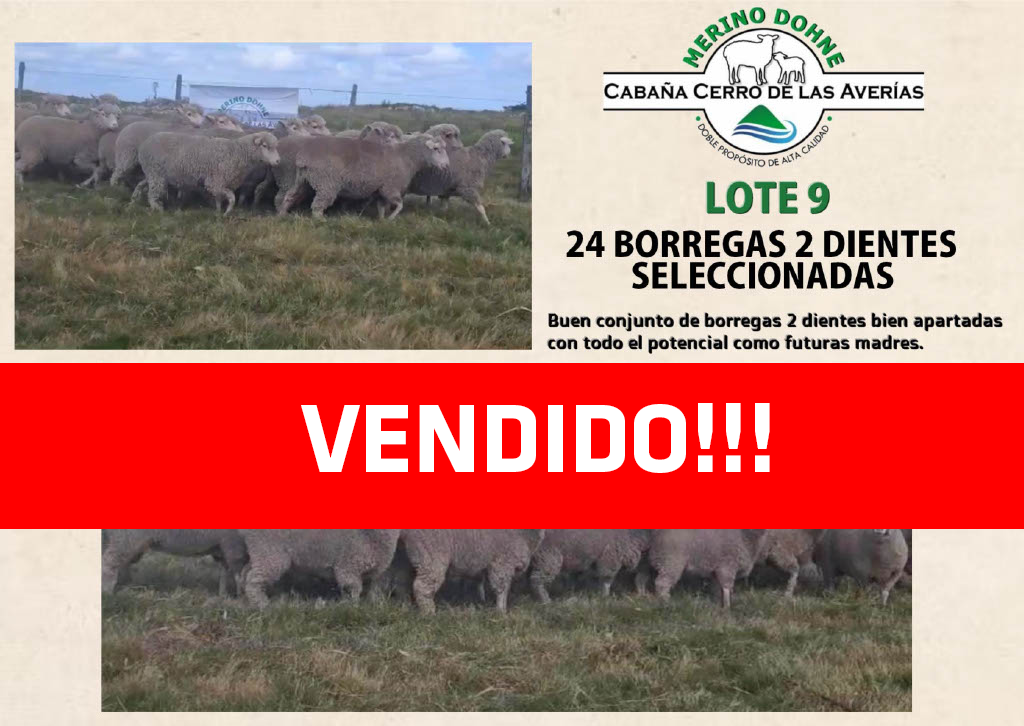 Lote LOTE 9