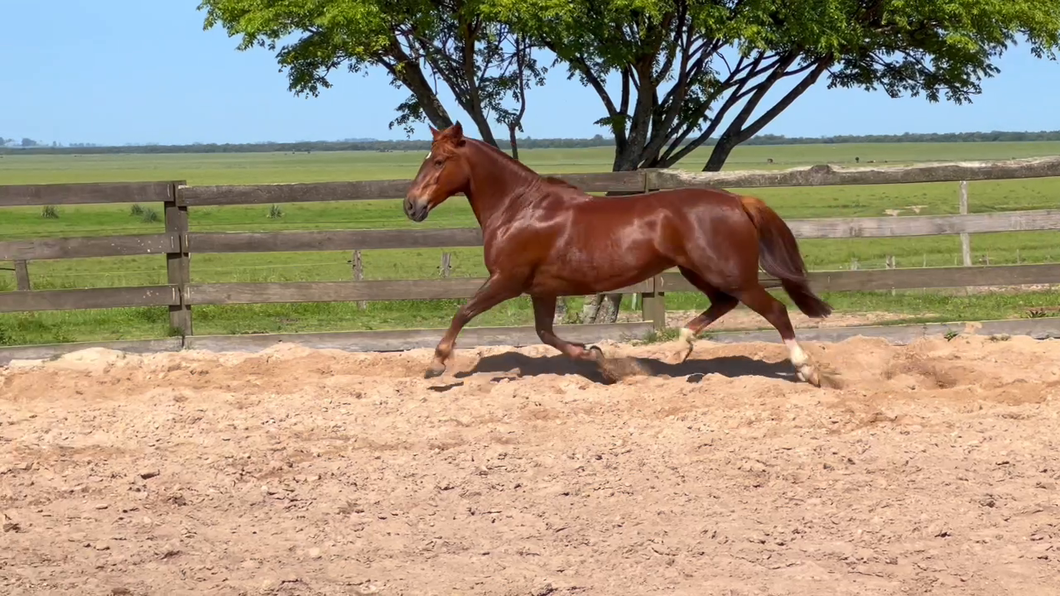 Lote Cañada Muchachita