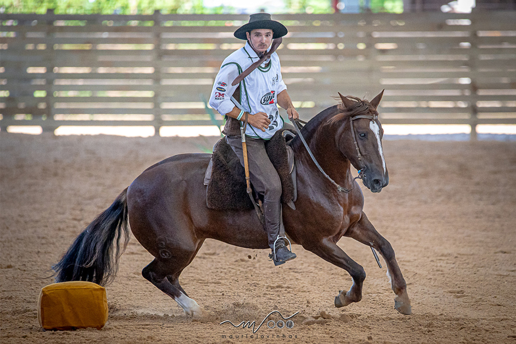 Lote QUELEN PIRAGUA  (Embrion)