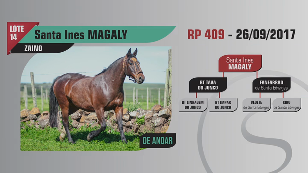 Lote Santa Ines MAGALY